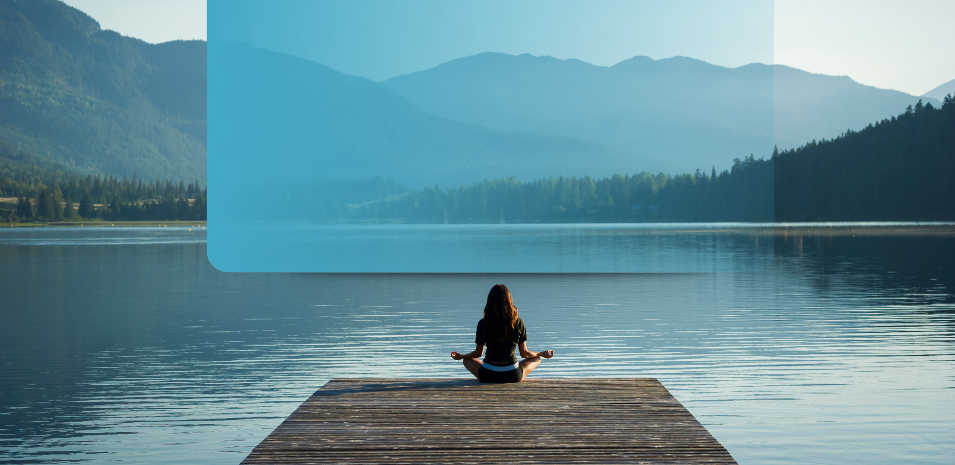 Wellness Banner
