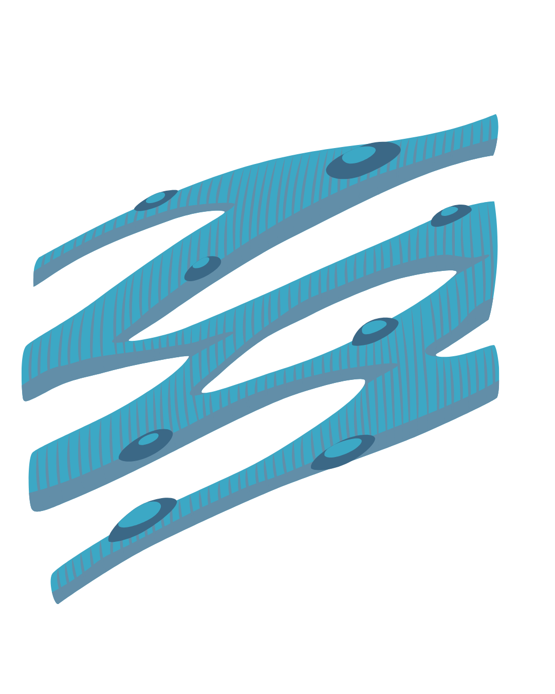 Help shift the tissue environment
