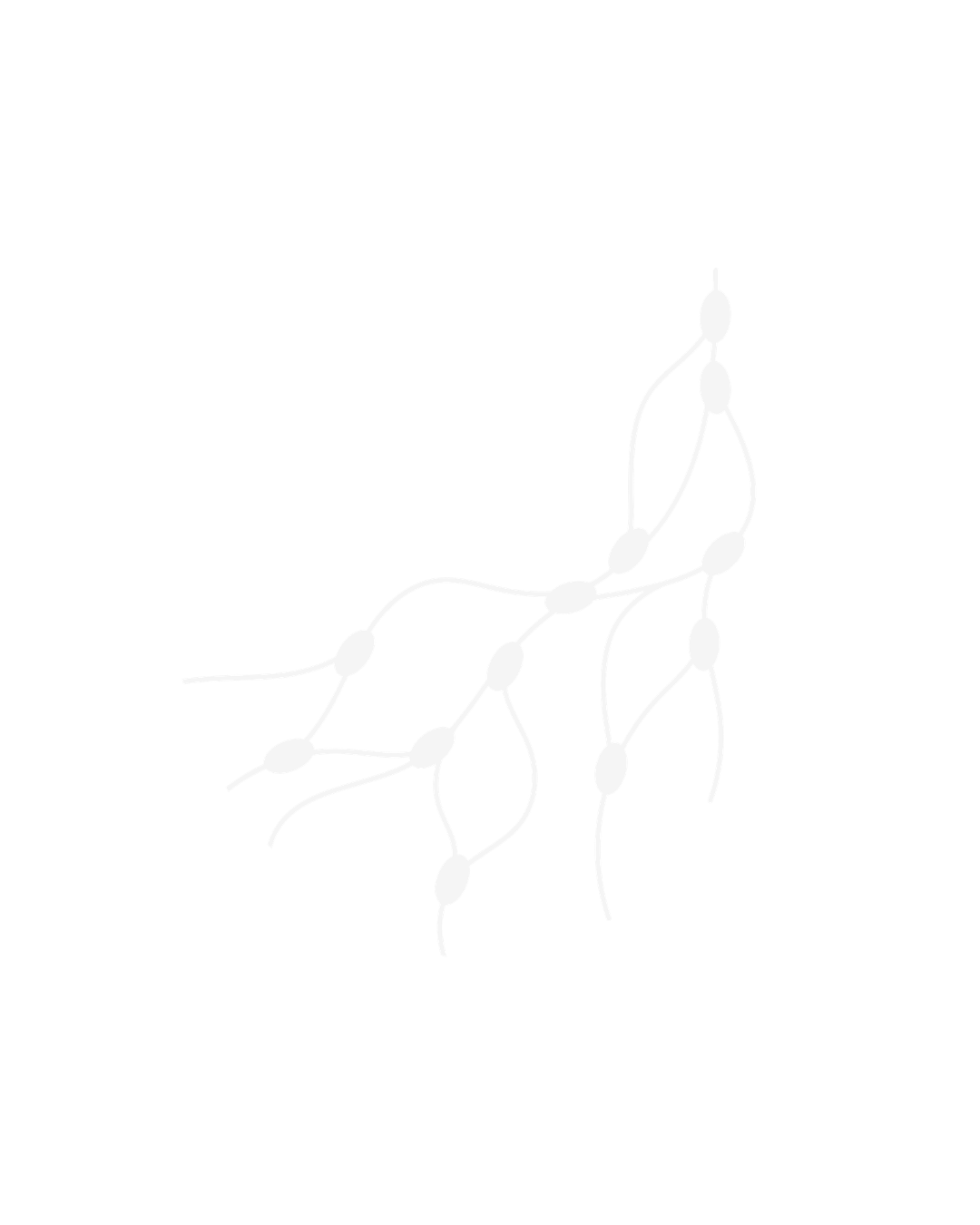 Lymphatic movement