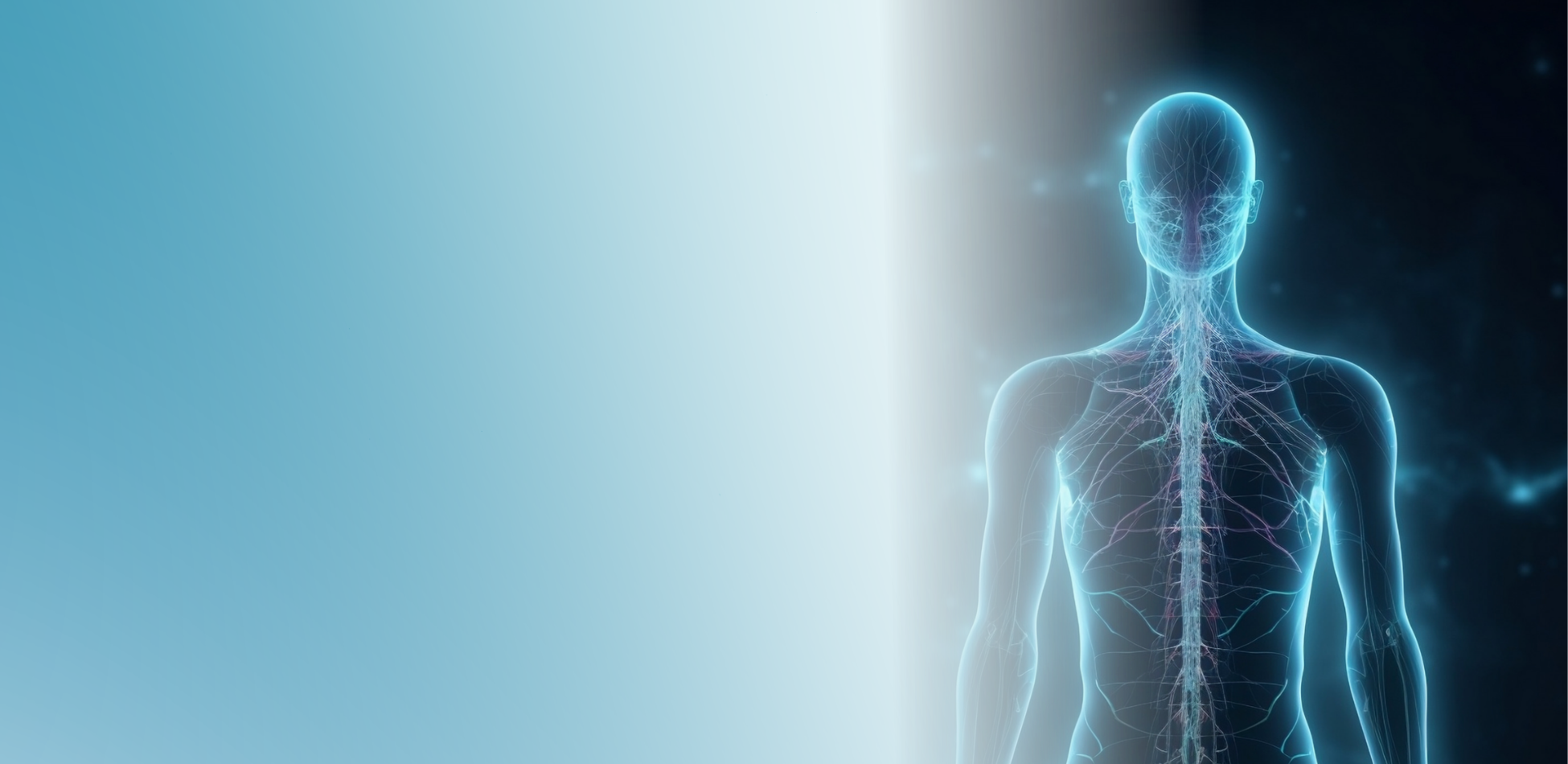 Inside the Body