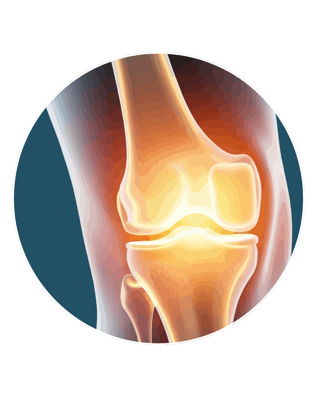 Joint, Nerve & Pain Support