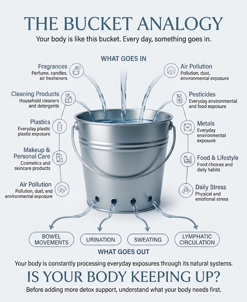 The toxic load bucket analogy