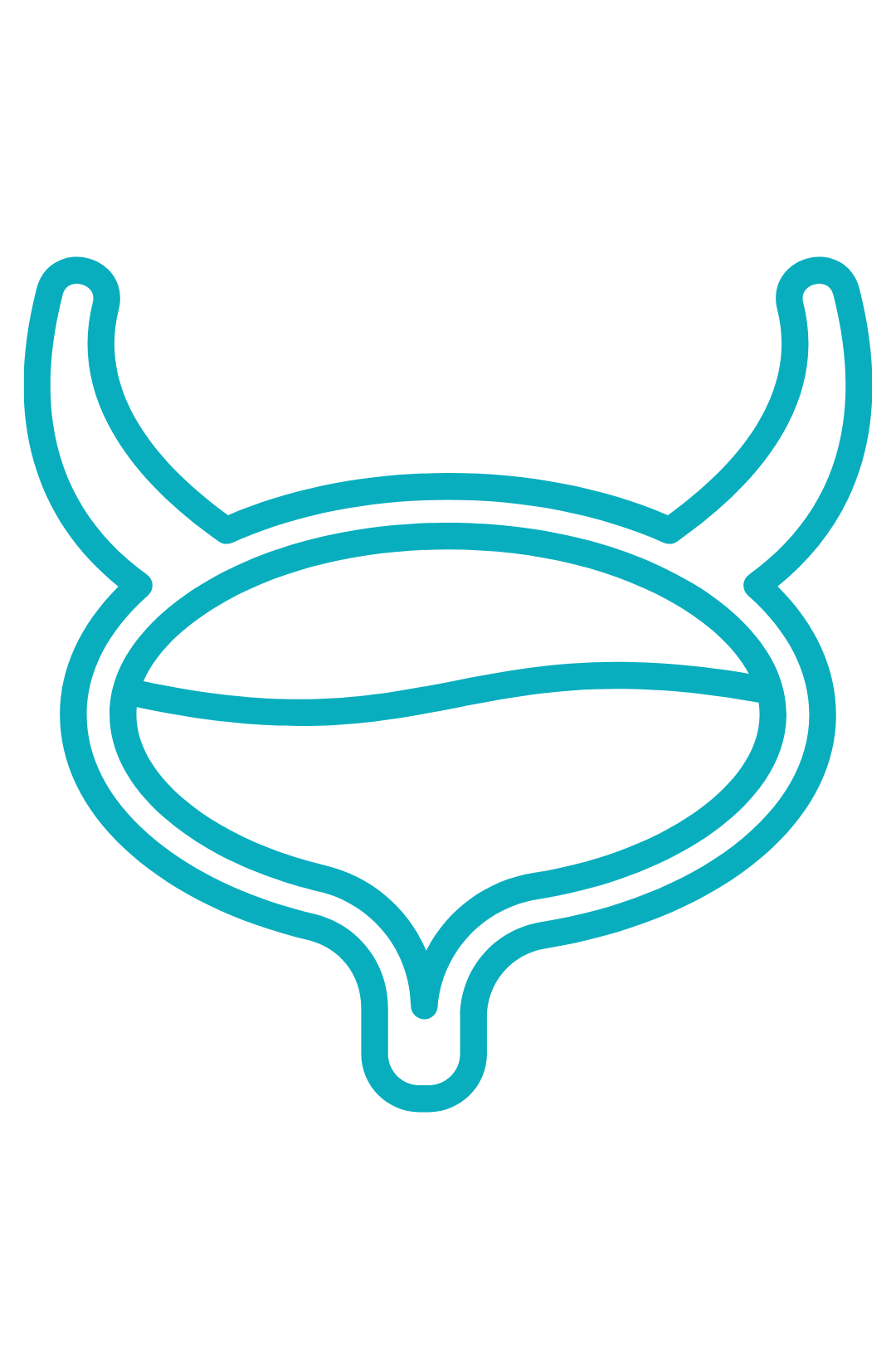 Bladder Ozone Insufflation